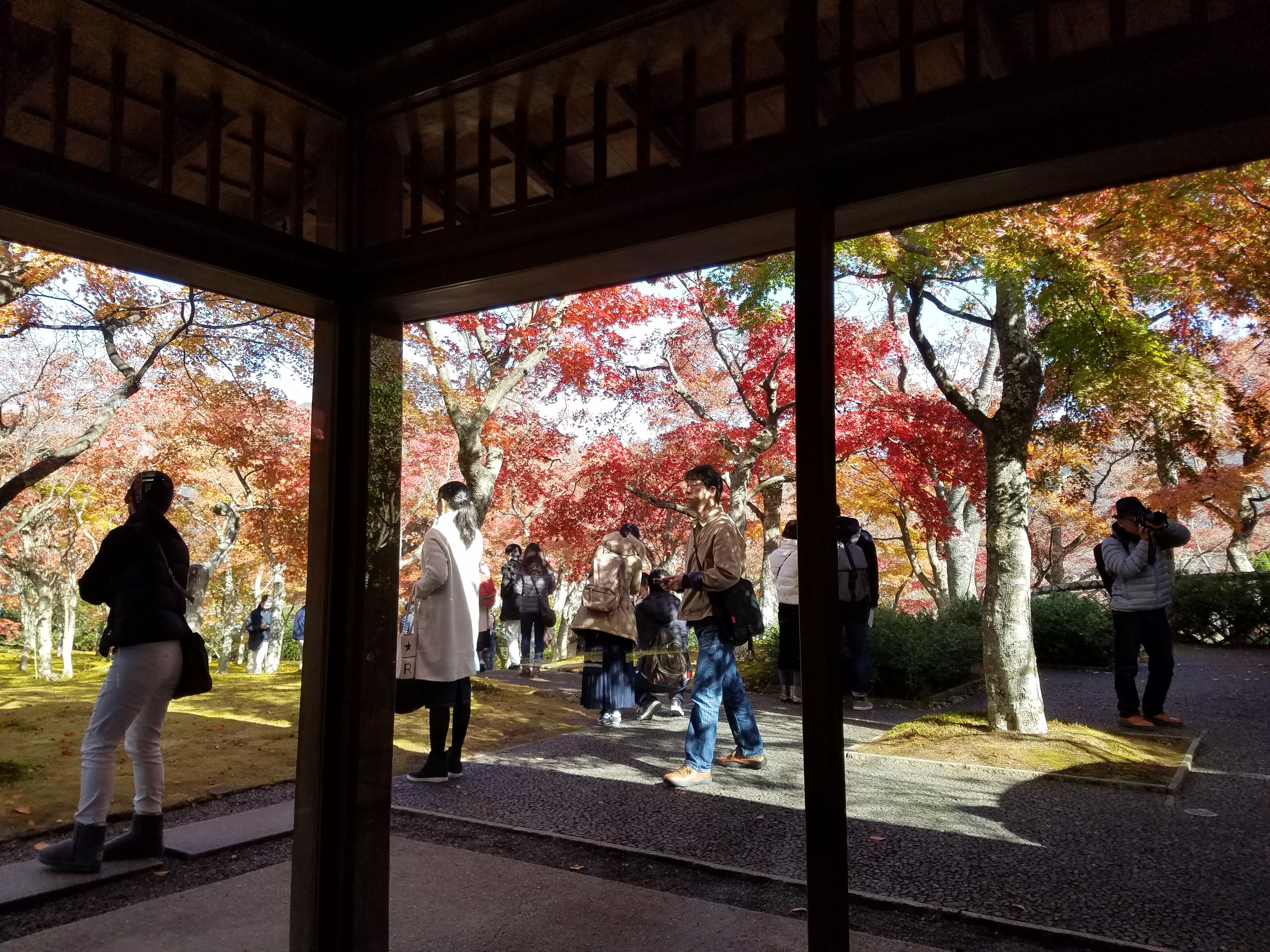 箱根　強羅　箱根美術館