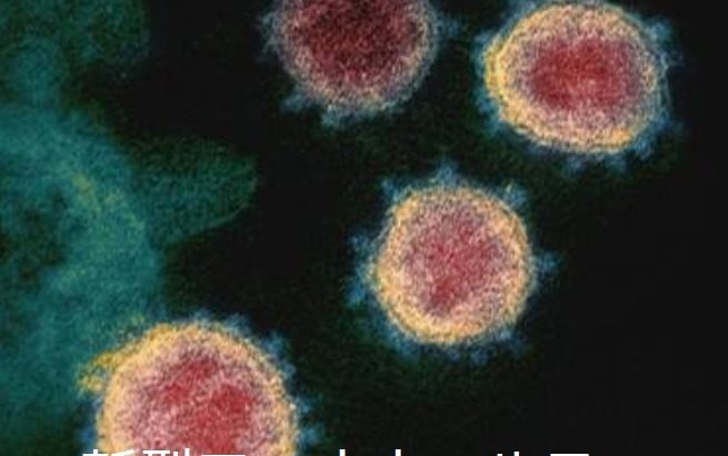 新型コロナウイルス感染症に関する情報