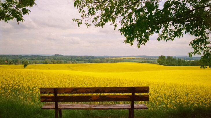 ゴールデンウィーク休業のお知らせ